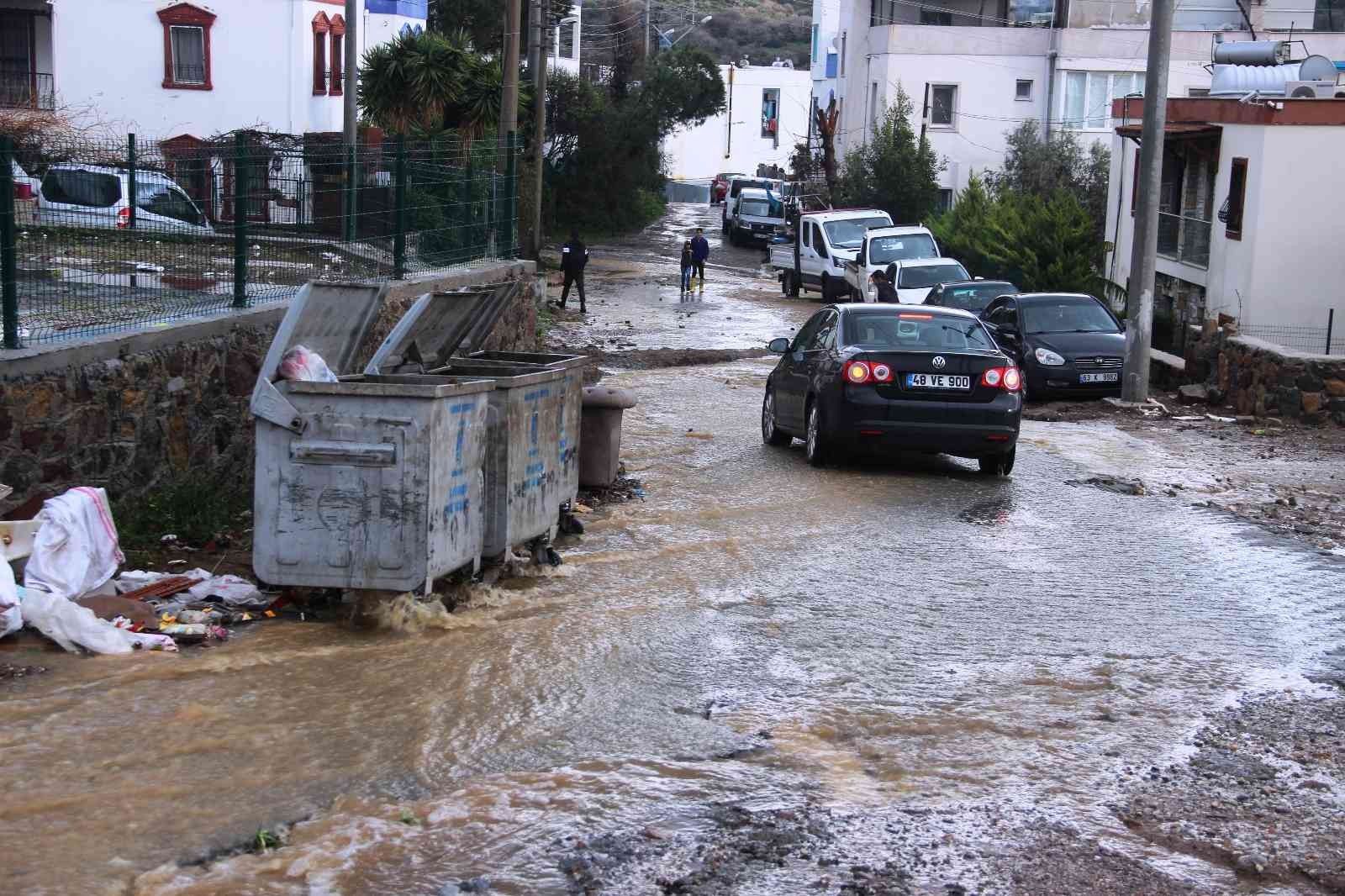 Bodrum’da sel faciası! Evleri su bastı, sokak hayvanları boğuldu - Resim : 8