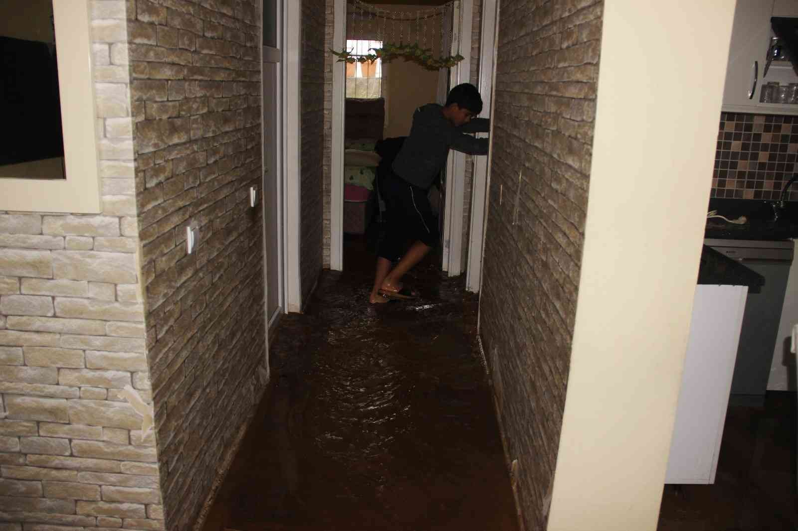 Bodrum’da sel faciası! Evleri su bastı, sokak hayvanları boğuldu - Resim : 11