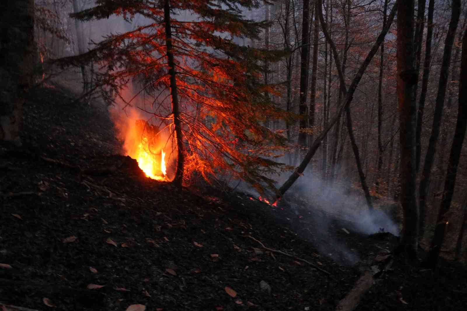 Bolu’da orman yangını: 1,5 hektarlık alan zarar gördü - Resim : 2