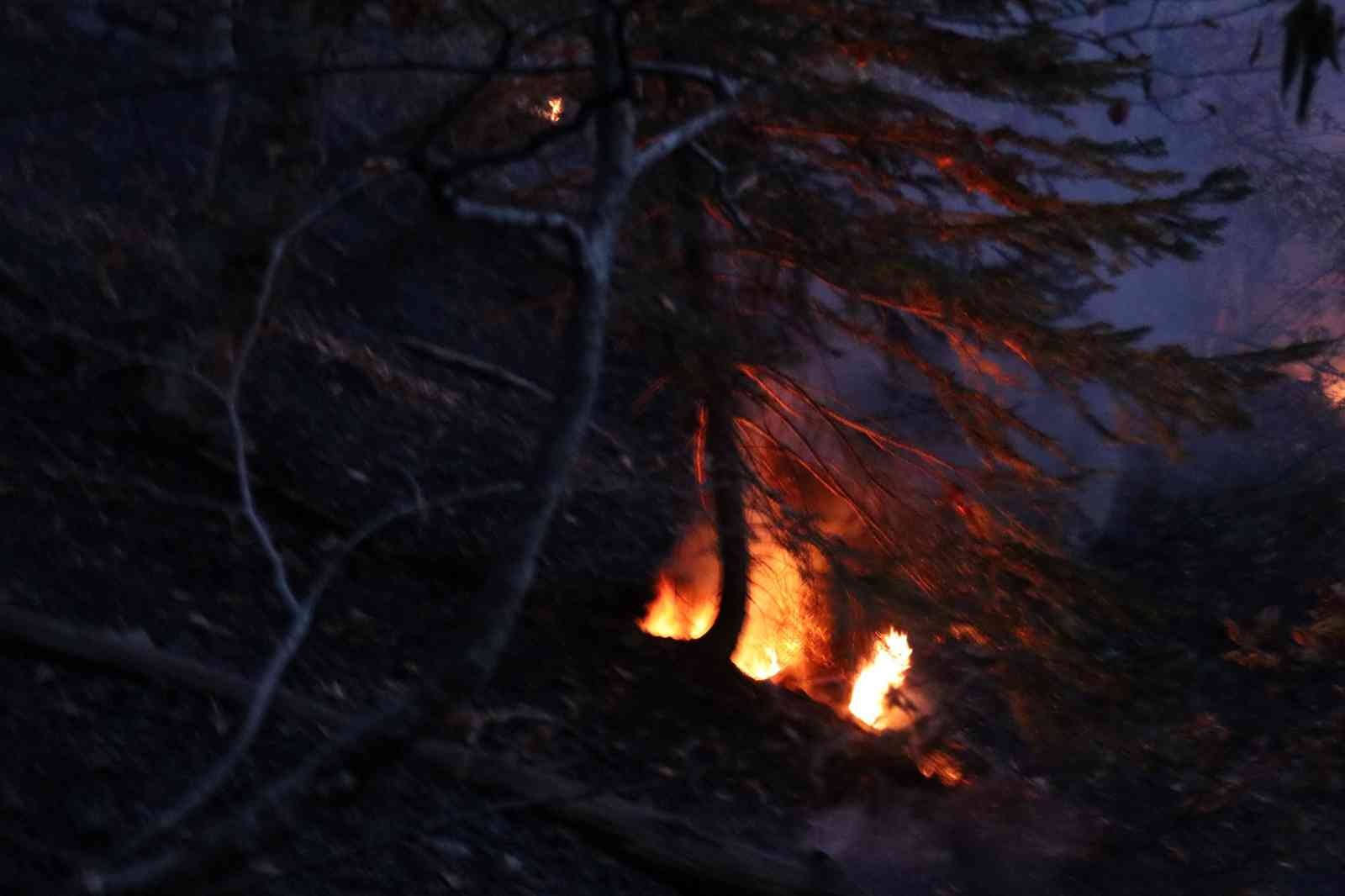 Bolu’da orman yangını: 1,5 hektarlık alan zarar gördü - Resim : 1