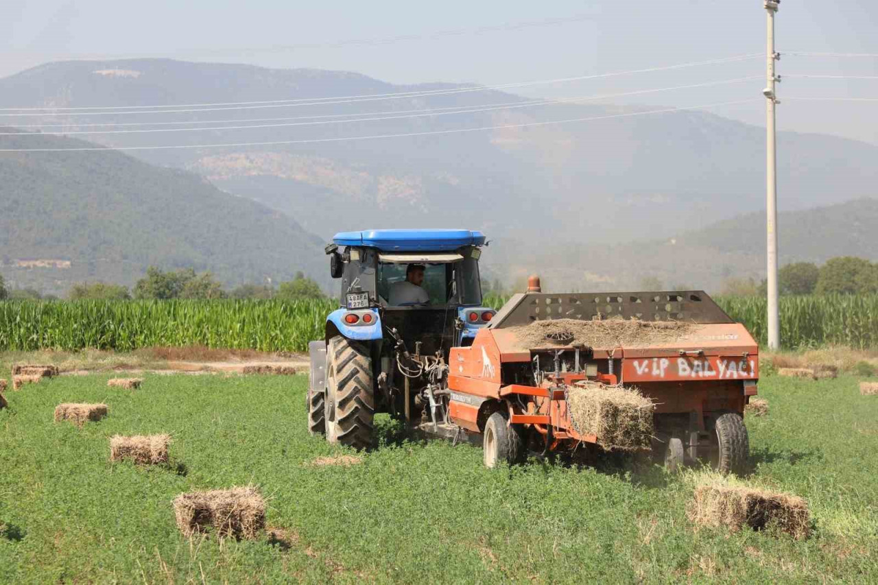 Muğla Büyükşehir Belediyesi’nin Seydikemer, Milas ve Yatağan ilçelerinde hayvancılıkla uğraşan üreticilere kooperatifler aracılığıyla destek olmak için başlatılan kaba yem üretim projesi devam ediyor.