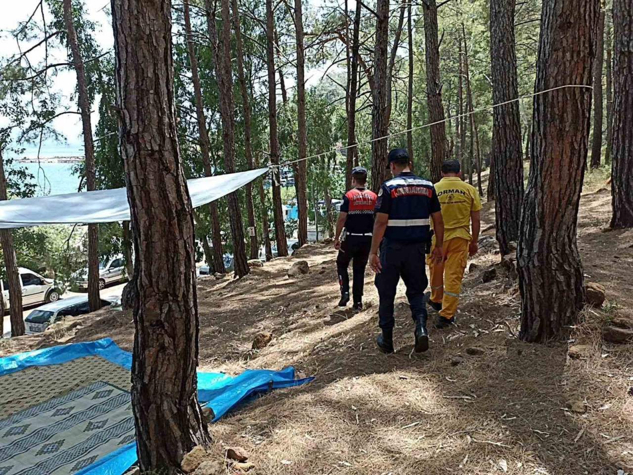 Orman yangını riski yüksek bölgelerden biri olan Muğla'da 1 Mayıs - 30 Kasım tarihleri arasında ormanlara giriş yasaklandı.